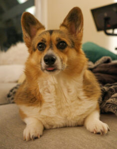 az_elhizas_veszelyei_2