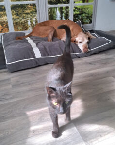 hogyan_elhet_tovabb_1