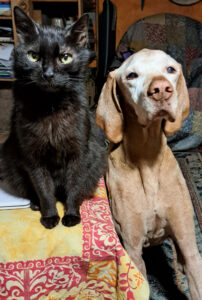 hogyan_elhet_tovabb_2